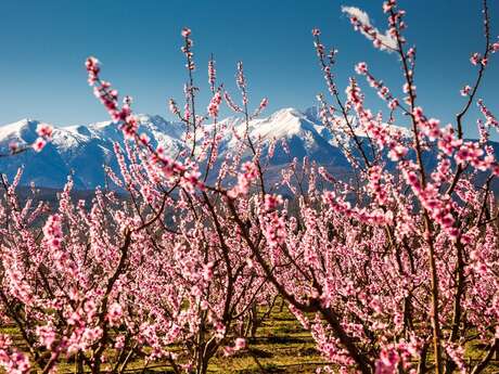 PARTICIPEZ À NOTRE ENQUÊTE !  A GAGNER : UN SÉJOUR INOUBLIABLE EN OCCITANIE...