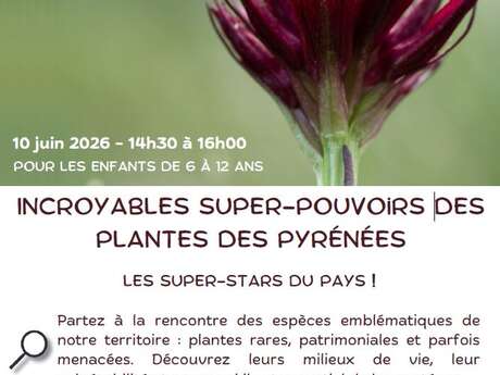 INCROYABLES SUPER-POUVOIRS DES PLANTES DES PYRÉNÉES