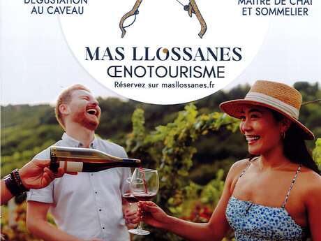 MAS LLOSSANES : ATELIER DE MAÎTRE DE CHAI
