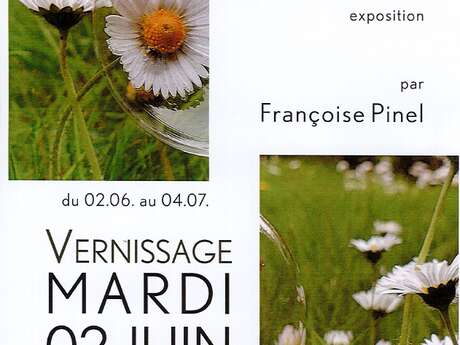 EXPOSITION COINCER LA BULLE