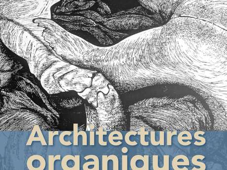 EXPOSITION « ARCHITECTURES ORGANIQUES » DE HÉLÈNE DAMVILLE