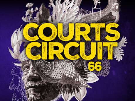 COURTS-CIRCUIT 66