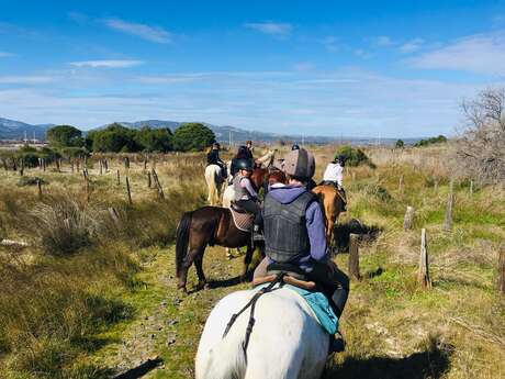 CENTRE EQUESTRE LA COLONIE