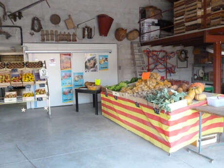 MARAICHAGE FILLOLS - CHEZ BERNARD ET MADO