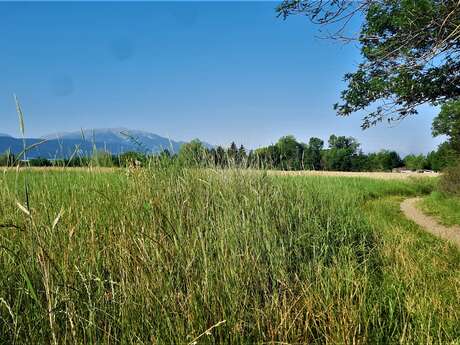 PR 82 - CAMI DE LLIVIA