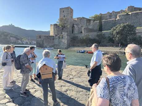LES BALADES COMMENTÉES DE LA "VITRINE SUR LE FAUVISME"