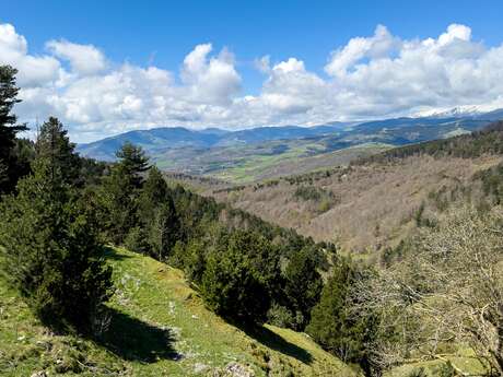 PRATS DE MOLLO - COL D'ARES