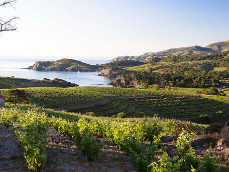 LES CLOS DE PAULILLES