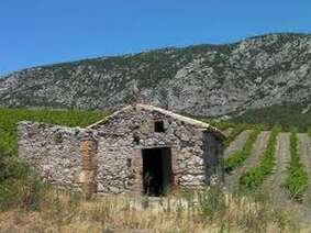 DOMAINE DE LA PETITE BAIGNEUSE