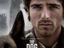 CINÉMA OSSÉJA - THE DOG STARS