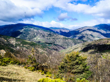 RESERVE NATURELLE REGIONALE DE NYER