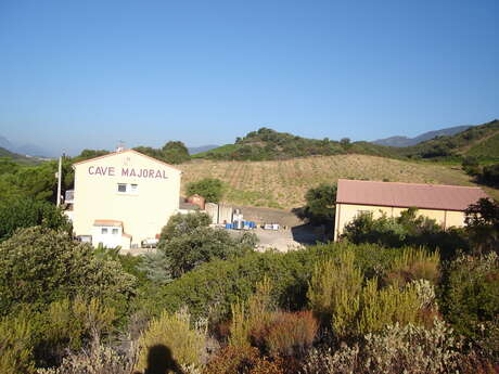 DOMAINE MAJORAL