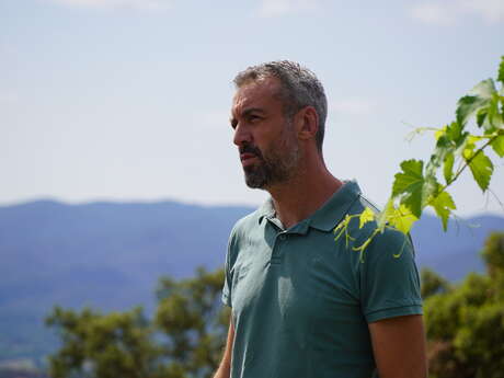 DE LA VIGNE AU VERRE : UNE EXPÉRIENCE AUTHENTIQUE