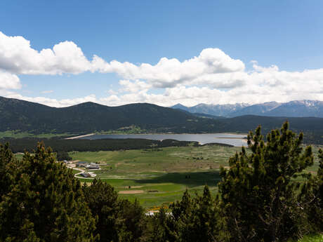 LA FORÊT DE LA MATTE
