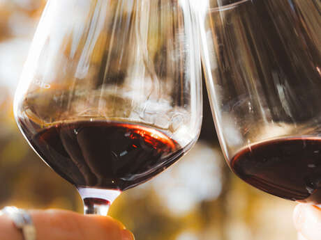 APERITIF VIGNERON AU DOMAINE VILLECLARE