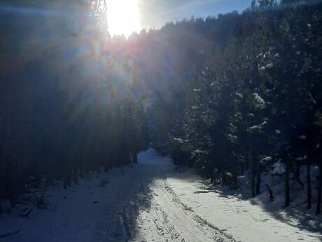 PARCOURS RAQUETTE N°3 - LE CHEMIN DE SAINT BARNABÉ