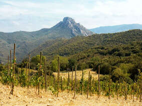 DOMAINE LAGUERRE LES PLANELS