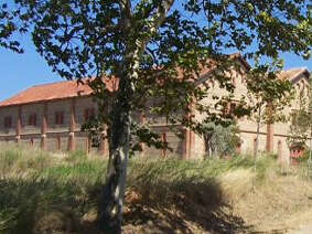 DOMAINE DU MAS AVALLRICH