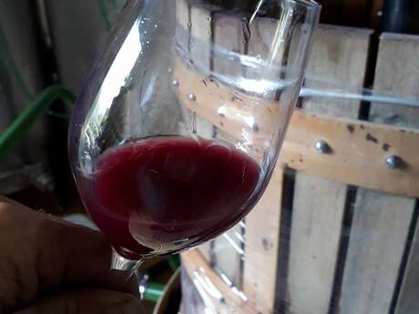 DOMAINE CASANOVE - DOMAINE DES HELIANTHEMES