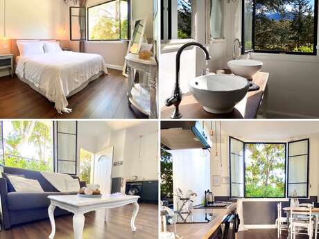 LE CHAT VERT- APPARTEMENTS ADULTS ONLY