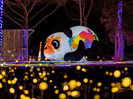 ÉVEIL DES LANTERNES