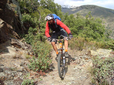 ECOLE DE VTT MCF DES ANGLES/DH ECOBIKE