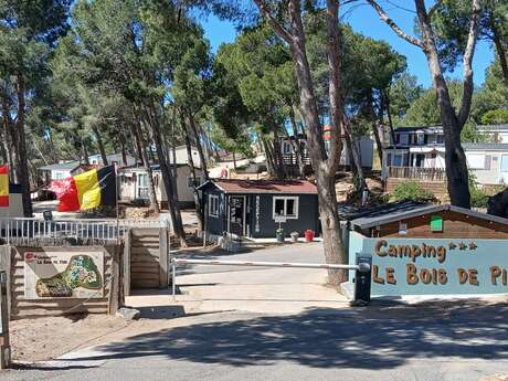 CAMPING LE BOIS DES PINS