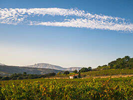 SUR LES PAS DES BERGERS