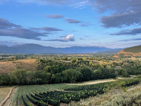 DOMAINE COTZÉ
