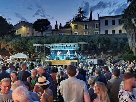 FESTIVAL DE BLUES 19EME EDITION