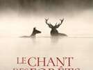 CINÉMA OSSÉJA - CYCLE DOCUMENTAIRE:  LE CHANT DES FORÊTS