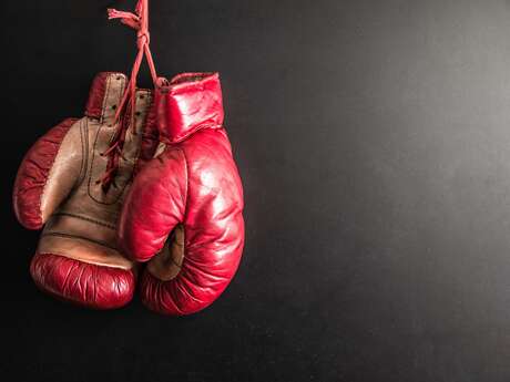 TROPHÉE ST CEBRIA GALA DE BOXE