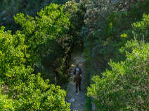 LE SENTIER DU CHARBONNIER