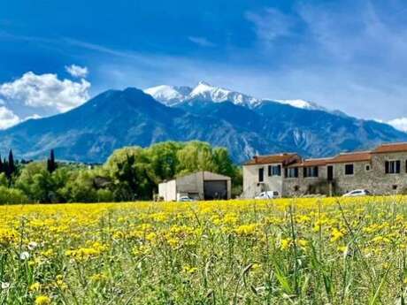 GITE LE CANIGOU 3* DANS UN MAS TYPIQUE CATALAN
