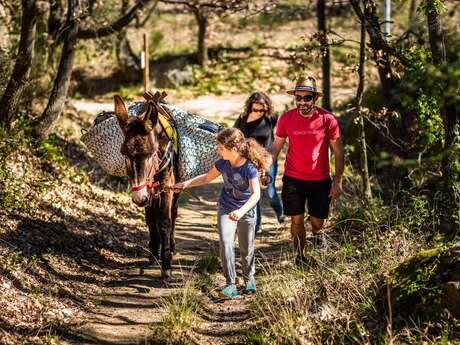 ITINÉRAIRE DES BELVÉDÈRES - LES BALCONS NORD DU CANIGÓ