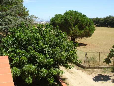 GÎTE MEUBLÉ MAS CABANES ARGELÈS SUR MER