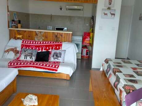 APPARTEMENT VUE SUR LAC ET MONTAGNE