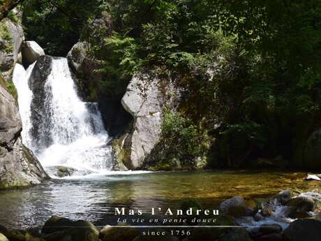 GITE WILFRED LE VELU