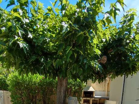 CHARMANTE MAISON À 300M DE LA PLAGE