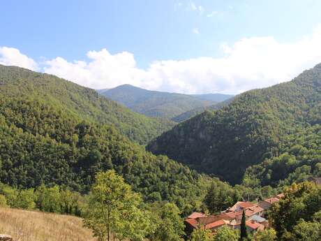 RESERVE NATURELLE DE PY