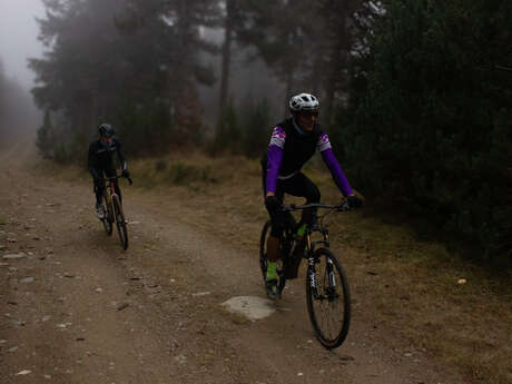 LA FORÊT D'EGAT ( VTT 31 )