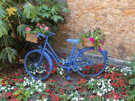 VISITE GUIDÉE À VÉLO
