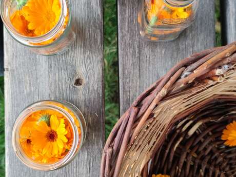 ATELIER CONFECTION D'HUILES AVEC DES VÉGÉTAUX DU JARDIN