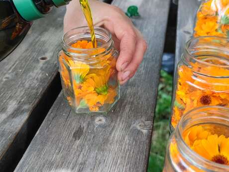 ATELIER CONFECTION D'HUILES AVEC DES VÉGÉTAUX DU JARDIN