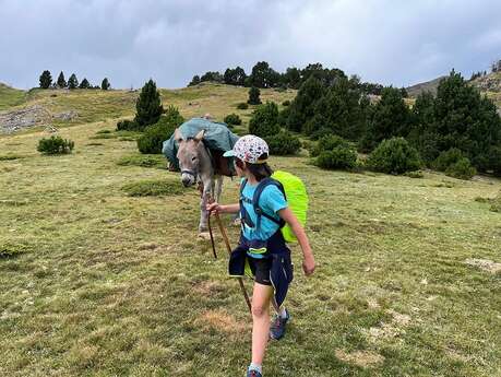 LES ANES DU TRES ESTELLES