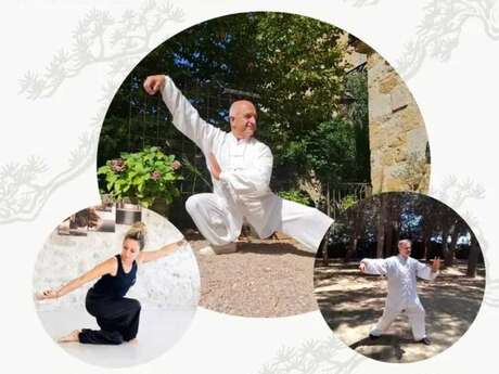 STAGE DE QI GONG, TAI CHI ET TUISHU