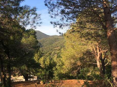 CAMPING LES CABANES D'ERBEFOL