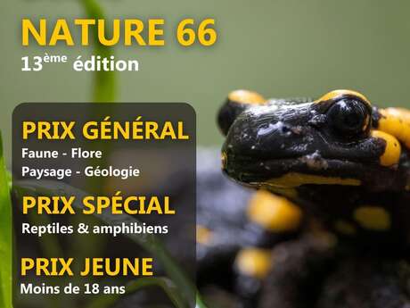 CONCOURS PHOTO DÉCLIC NATURE