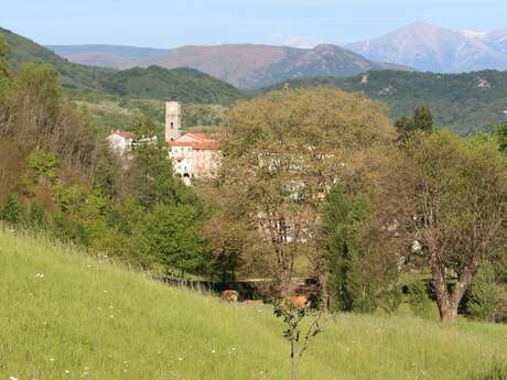 CIRCUIT VTT HAUT-VALLESPIR - N°6 LE CHEMIN BLEU