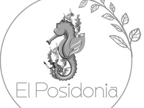 EL POSIDONIA